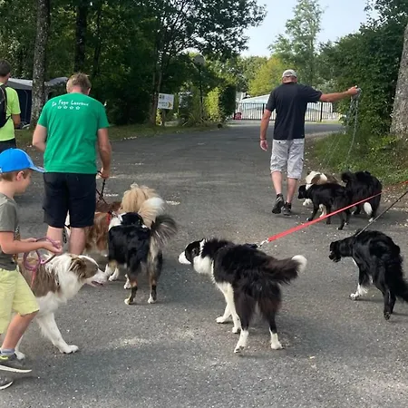 مكان تخييم Mobil Accueillant, Animaux Admis - 4 Pers. - Api-1-52-2342